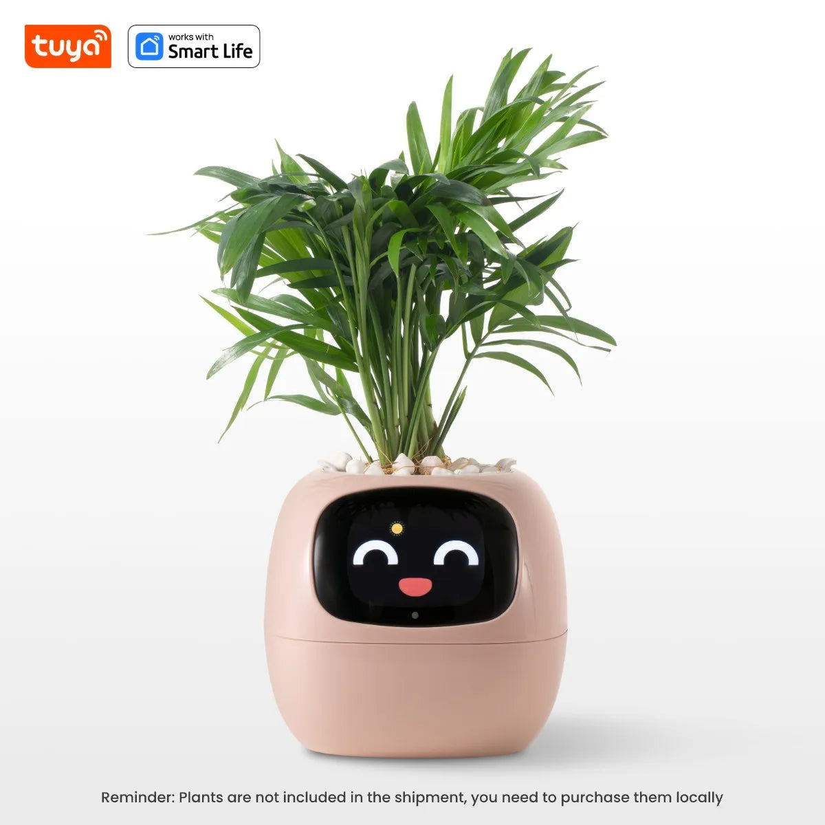 Tuya Smart Planter: AI-Powered Easy Plant Care