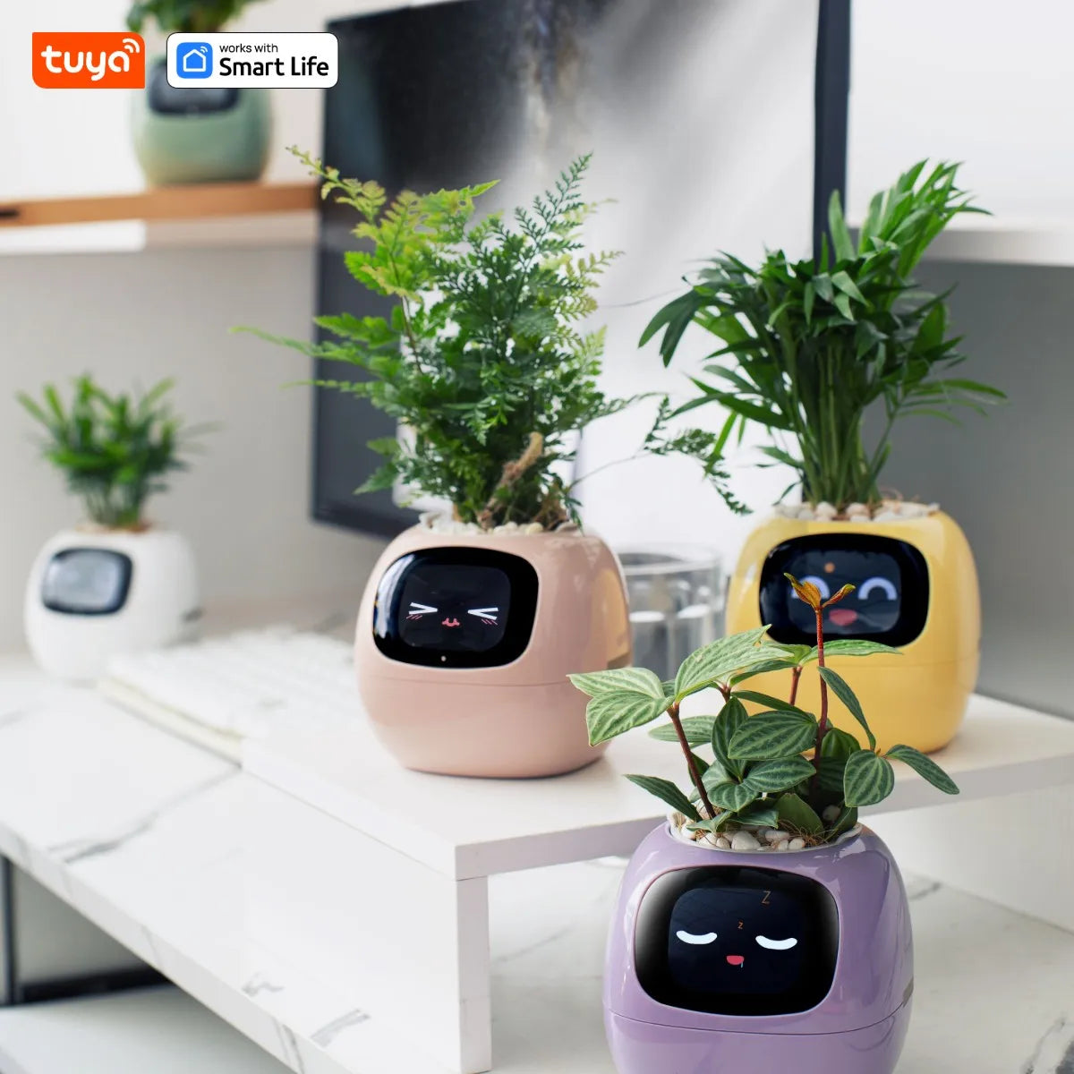 Tuya Smart Planter: AI-Powered Easy Plant Care