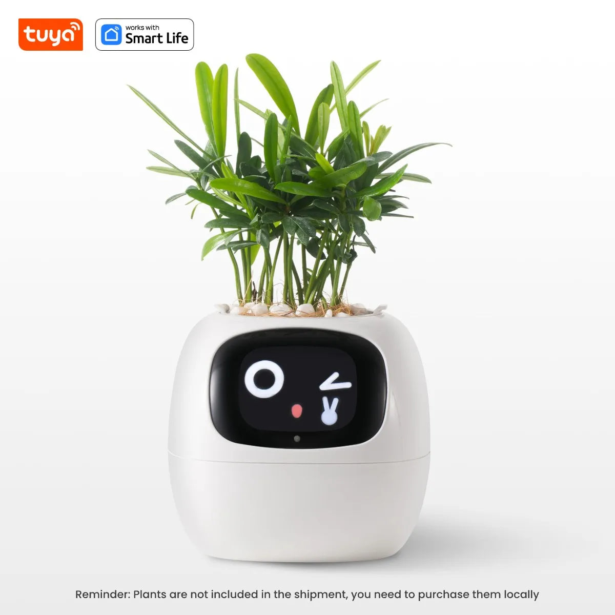 Tuya Smart Planter: AI-Powered Easy Plant Care