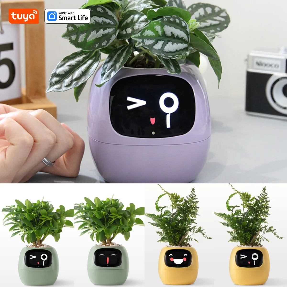 Tuya Smart Planter: AI-Powered Easy Plant Care