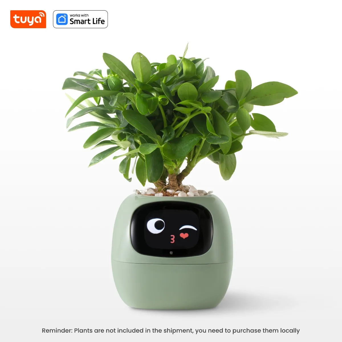 Tuya Smart Planter: AI-Powered Easy Plant Care